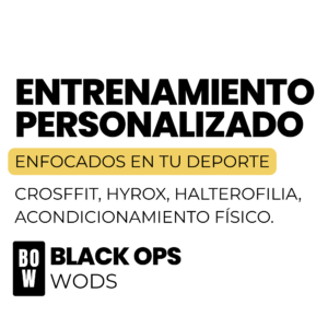 Entrenamiento Personalizado